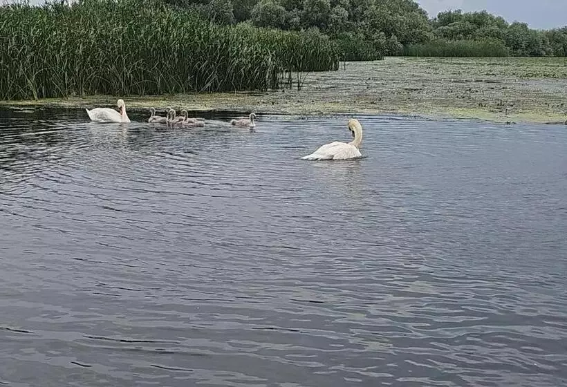 ペンション Casa Boby