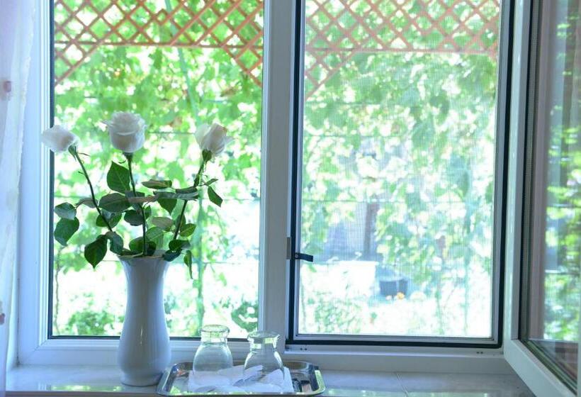 Пансион Casa Boby