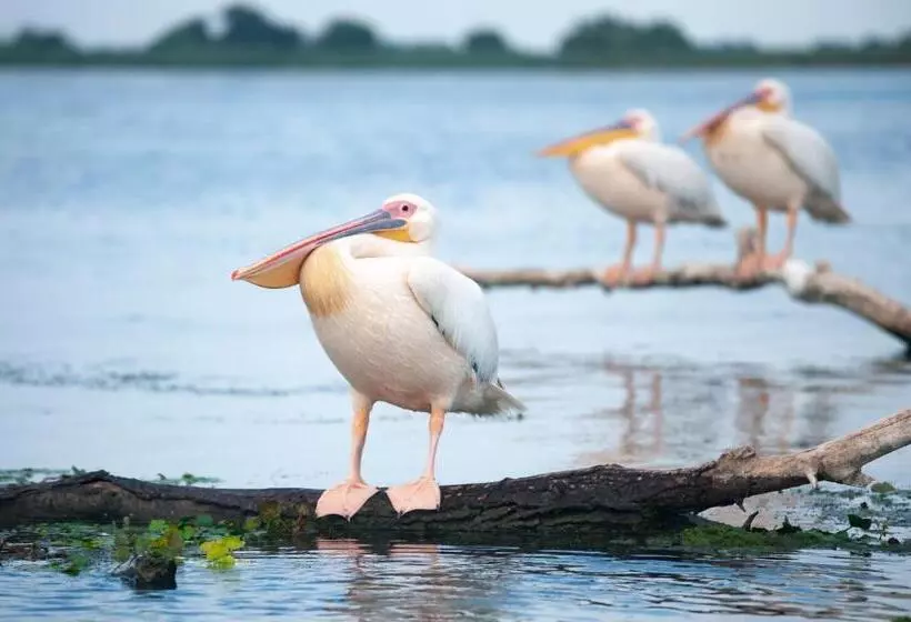 ペンション Casa Boby