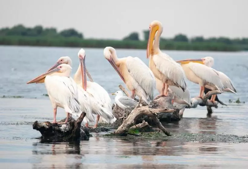 ペンション Casa Boby