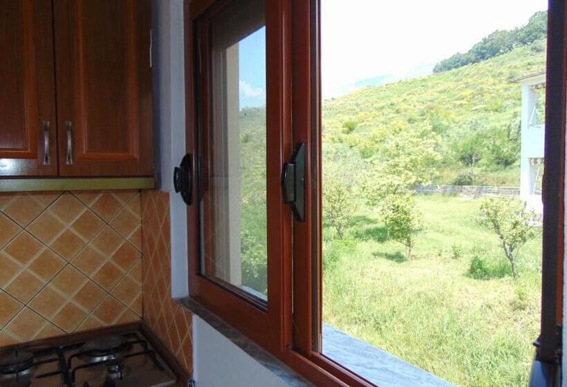 بنسيون Residence Jazoj