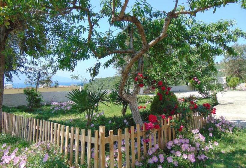 بنسيون Residence Jazoj