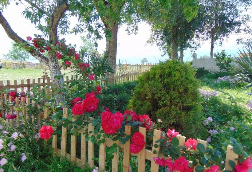 بنسيون Residence Jazoj