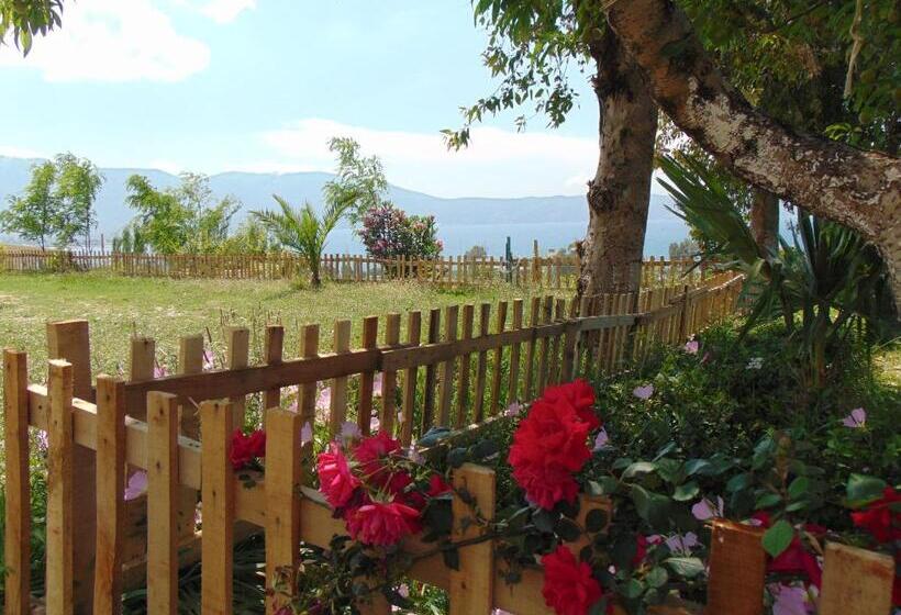 بنسيون Residence Jazoj