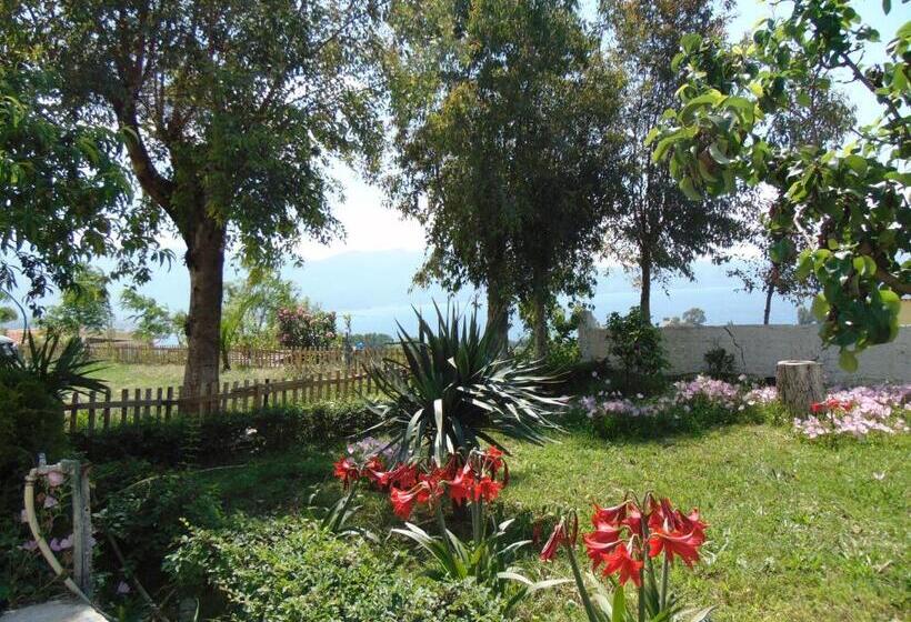 بنسيون Residence Jazoj