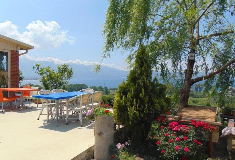 بنسيون Residence Jazoj