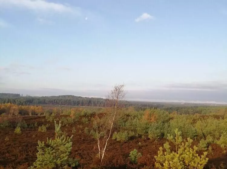 The Old Cook S House