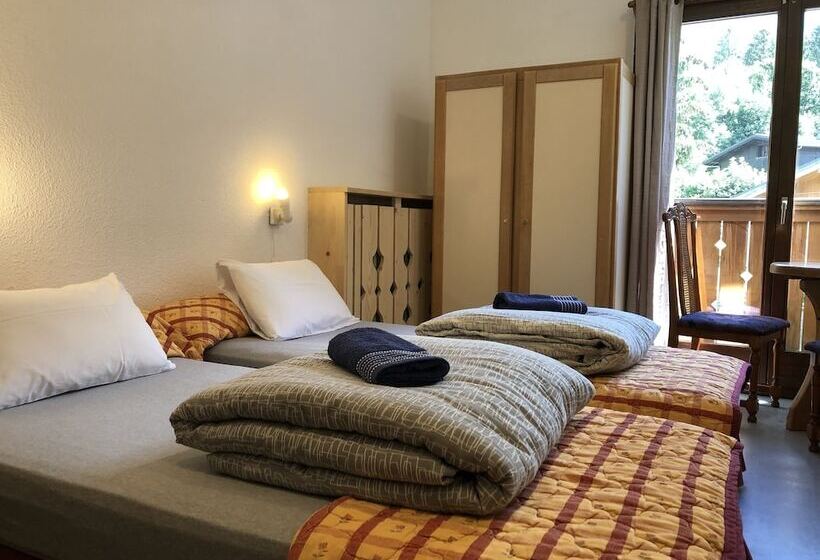 فندق صغير Alpenrose Chamonix