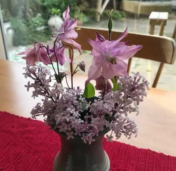 Aamiaismajoitus (B&B) Nant Gloyw Oswestry