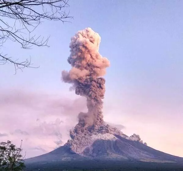 Dream Big Eco Hostel