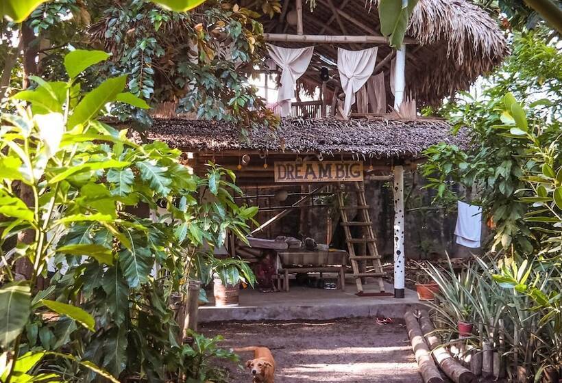 Dream Big Eco Hostel