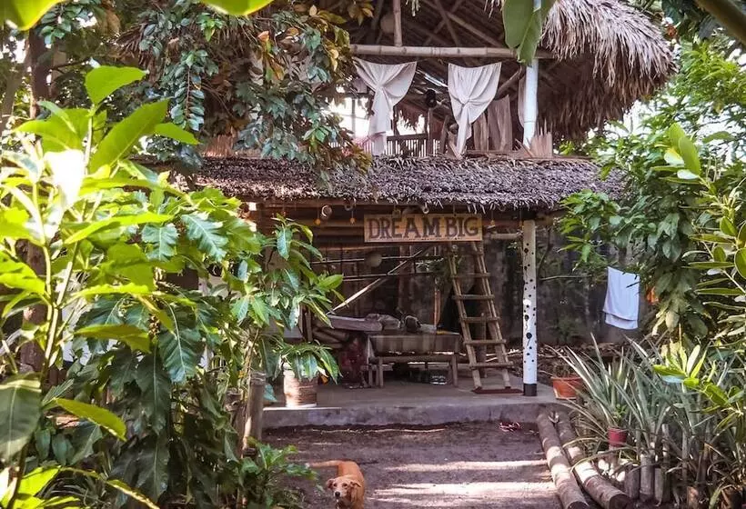Dream Big Eco Hostel