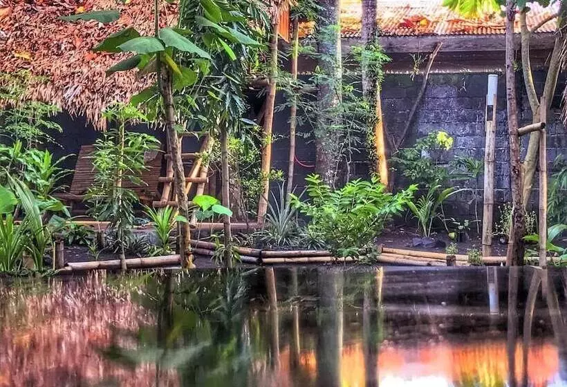 Dream Big Eco Hostel