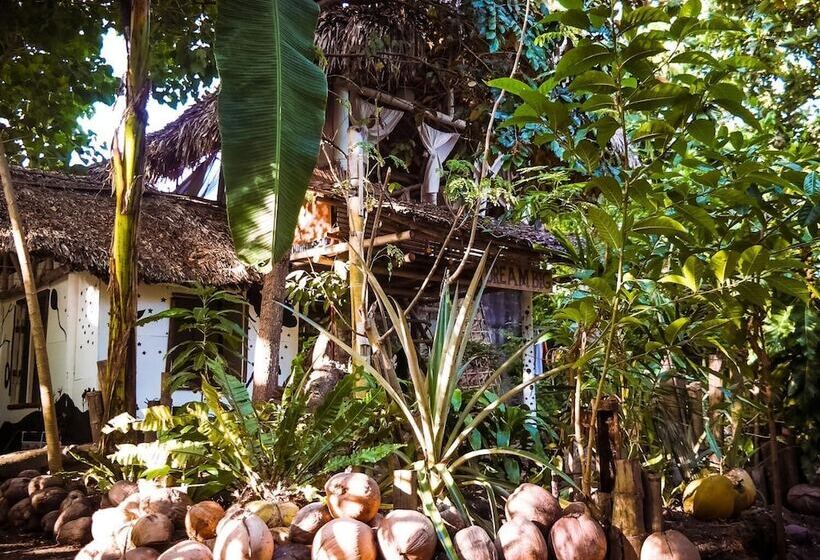 Dream Big Eco Hostel