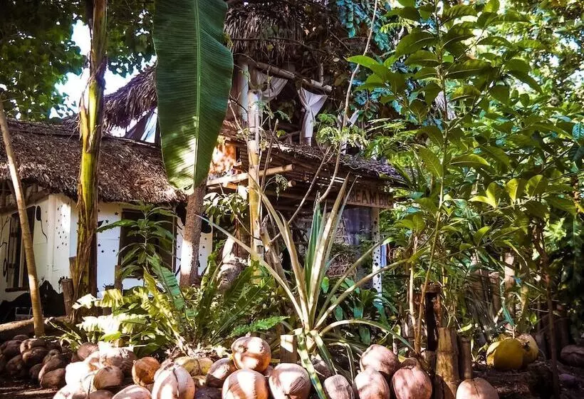 Dream Big Eco Hostel