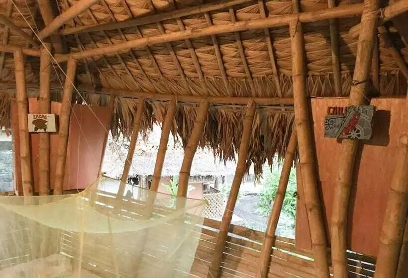 Dream Big Eco Hostel