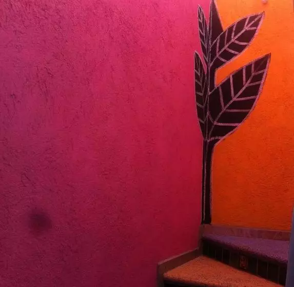 Hotel Del Color