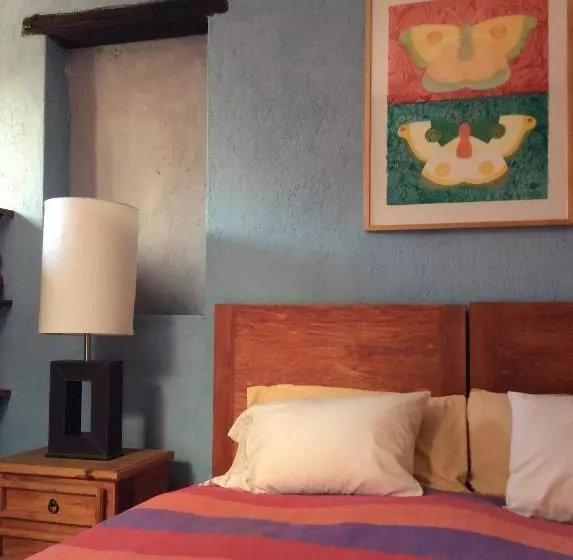 Hotel Del Color