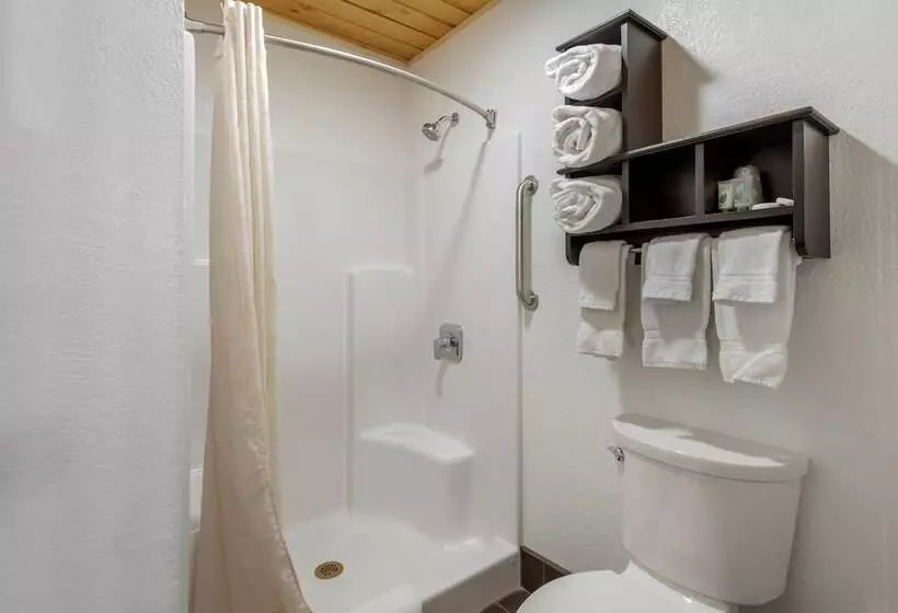 Hotelli Great Sand Dunes Lodge