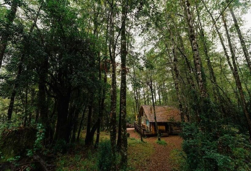 ホテル Huilo Huilo Club Huillin