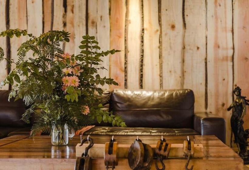 ホテル Huilo Huilo Club Huillin