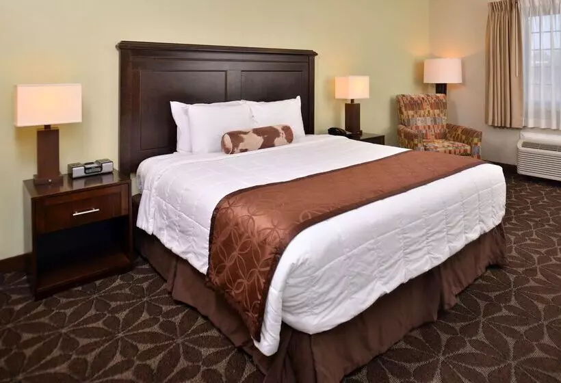 酒店 Americas Best Value Inn Memphis Airport