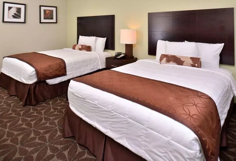 酒店 Americas Best Value Inn Memphis Airport