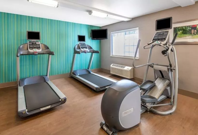 Отель Holiday Inn Express & Suites Wheat Ridge Denver West, An Ihg