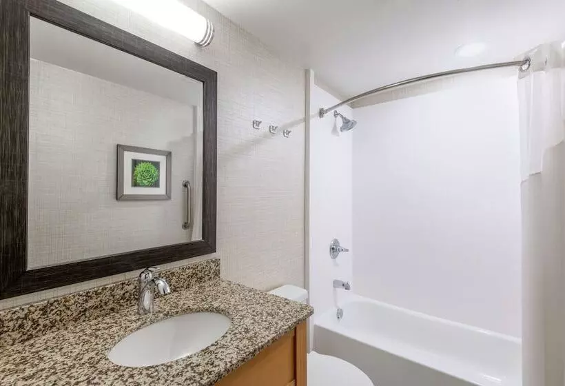 Отель Holiday Inn Express & Suites Wheat Ridge Denver West, An Ihg