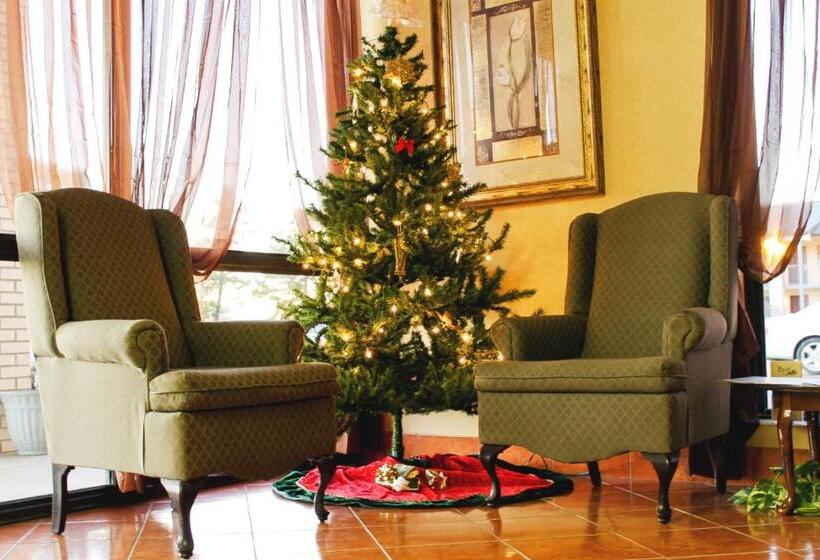 汽车旅馆 American Inn Paducah