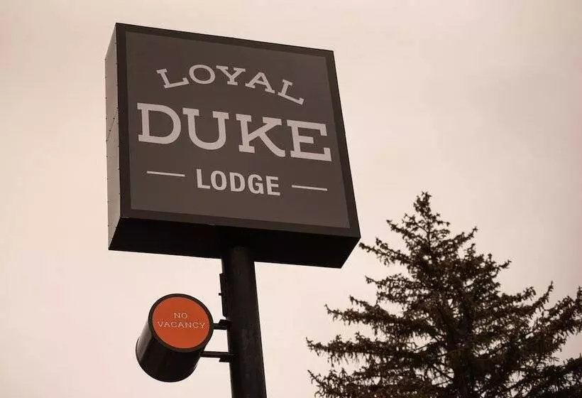 모텔 Loyal Duke Lodge