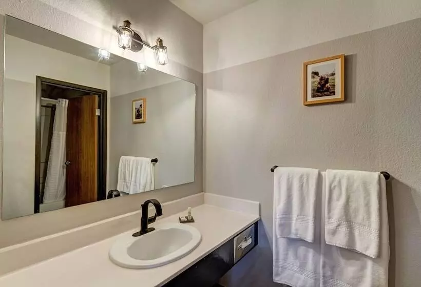 모텔 Loyal Duke Lodge