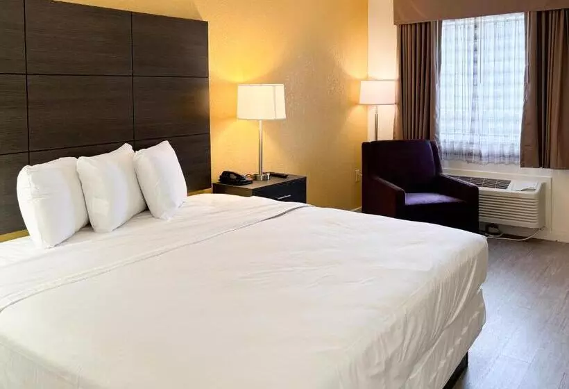 Motel 6 Charlotte, Nc Northlake