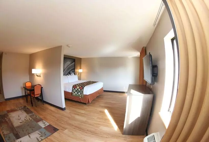 モーテル Super 8 By Wyndham Portsmouth