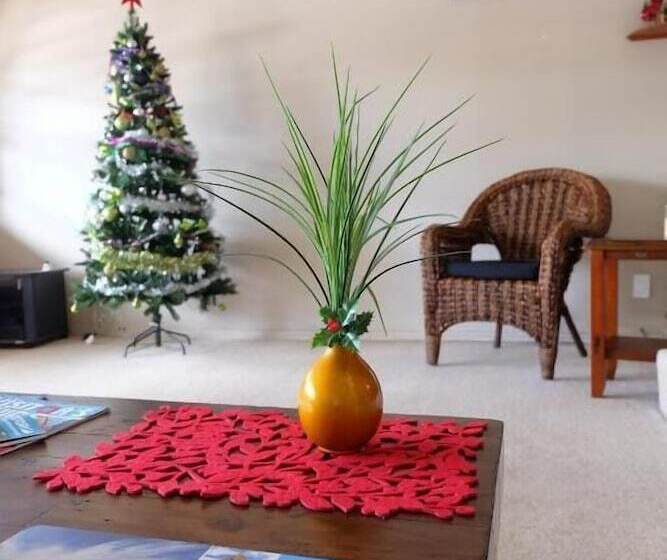 Pension Kiwi As Guest House