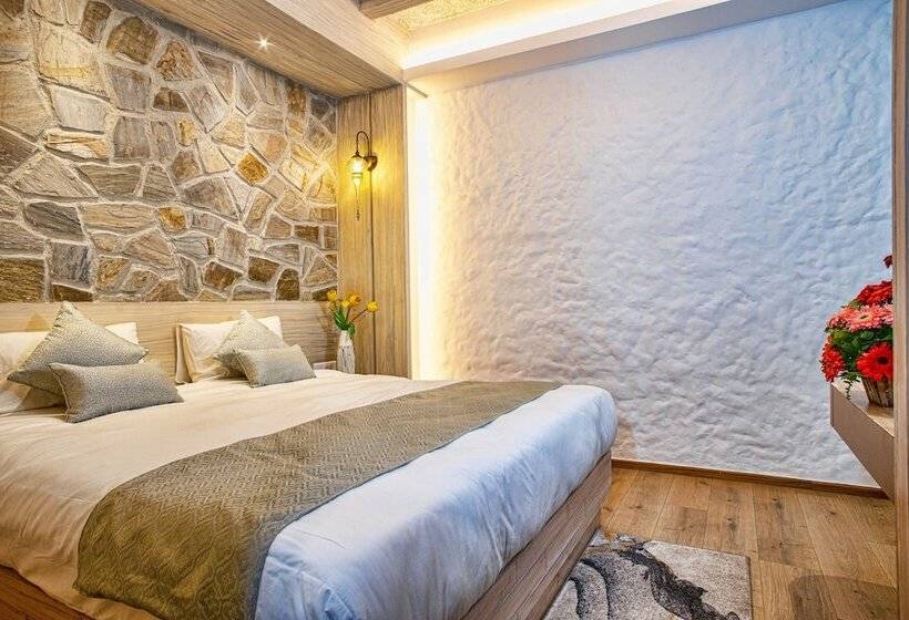 هتل Arushi Boutique