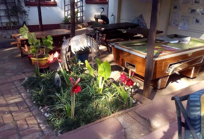 It S A Small World Backpackers Lodge   Hostel