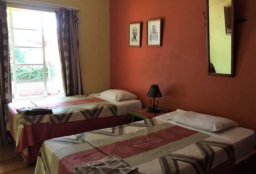 It S A Small World Backpackers Lodge   Hostel