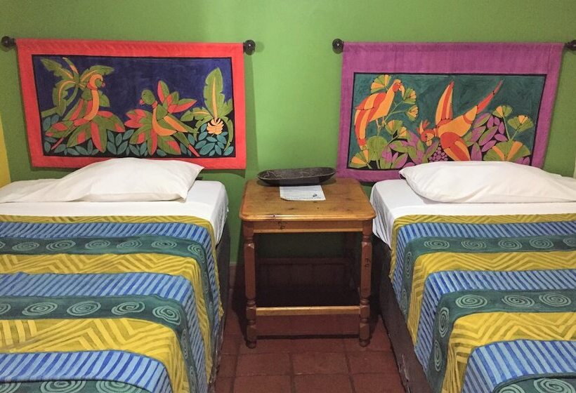 It S A Small World Backpackers Lodge   Hostel