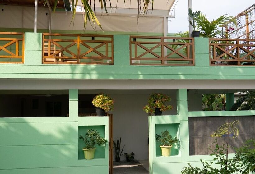 پانسیون Turtle Maldives Your Gateway To The Beach & Marine Adventures Await!