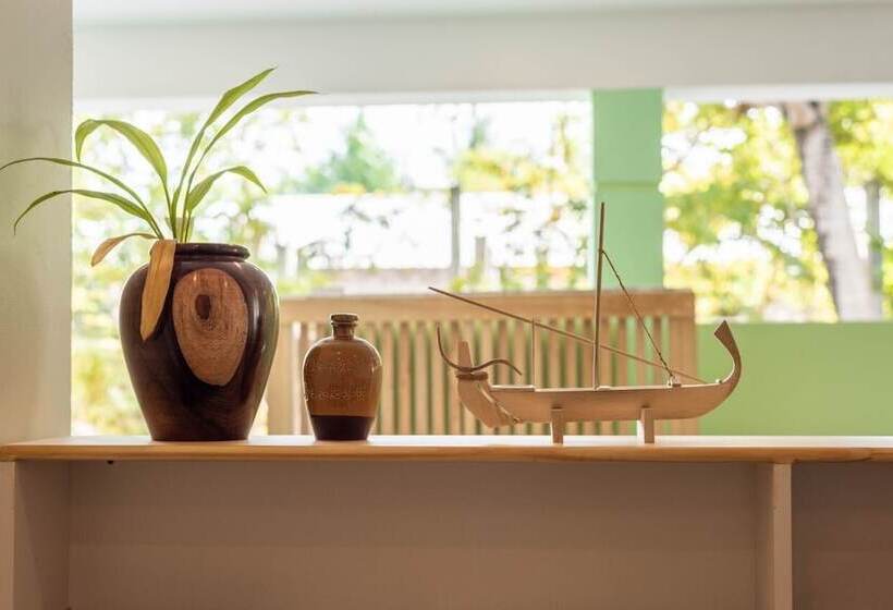 پانسیون Turtle Maldives Your Gateway To The Beach & Marine Adventures Await!