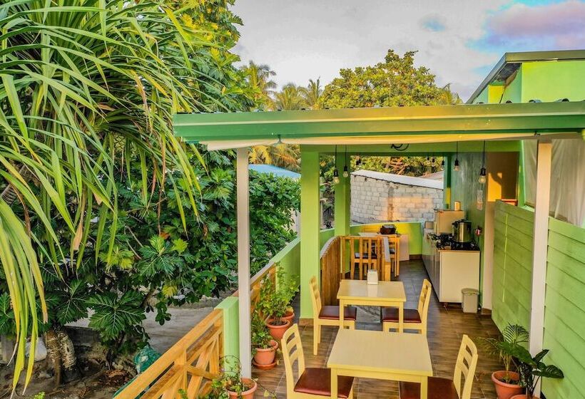 پانسیون Turtle Maldives Your Gateway To The Beach & Marine Adventures Await!