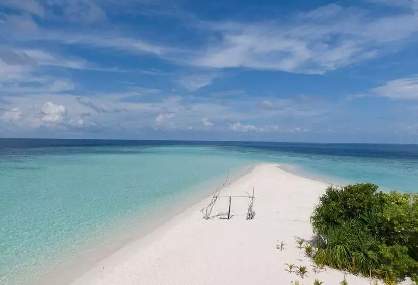 پانسیون Turtle Maldives   Your Gateway To The Beach & Marine Adventures Await!