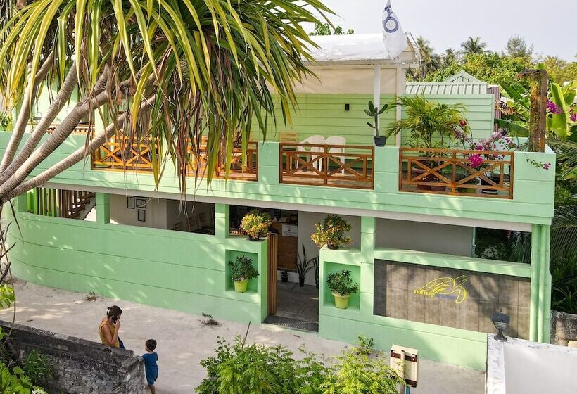 پانسیون Turtle Maldives Your Gateway To The Beach & Marine Adventures Await!