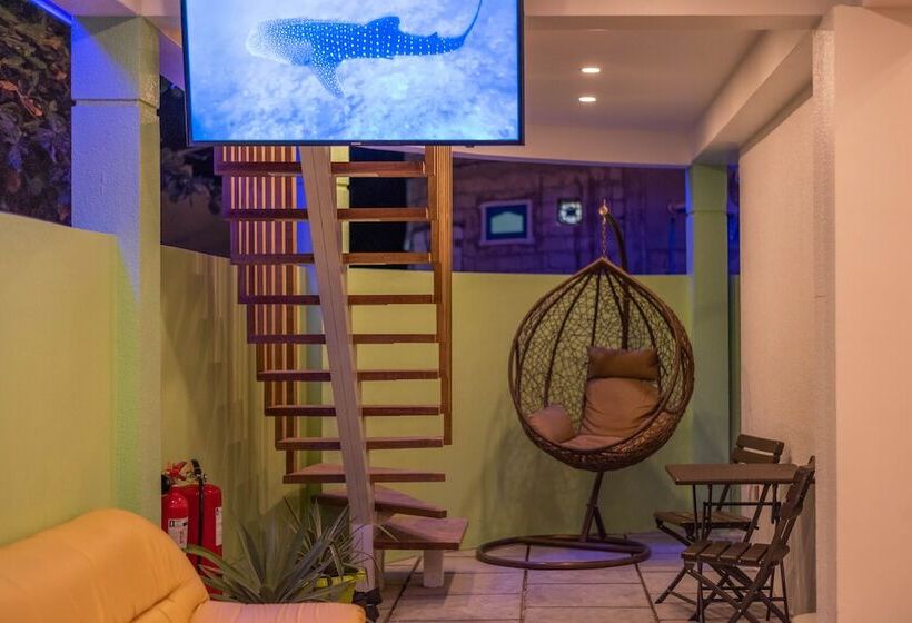 پانسیون Turtle Maldives Your Gateway To The Beach & Marine Adventures Await!