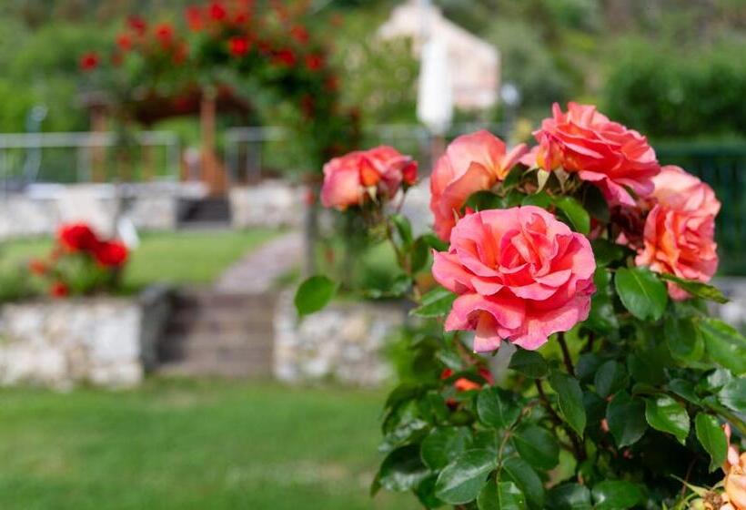 La Vignana   5 Terre