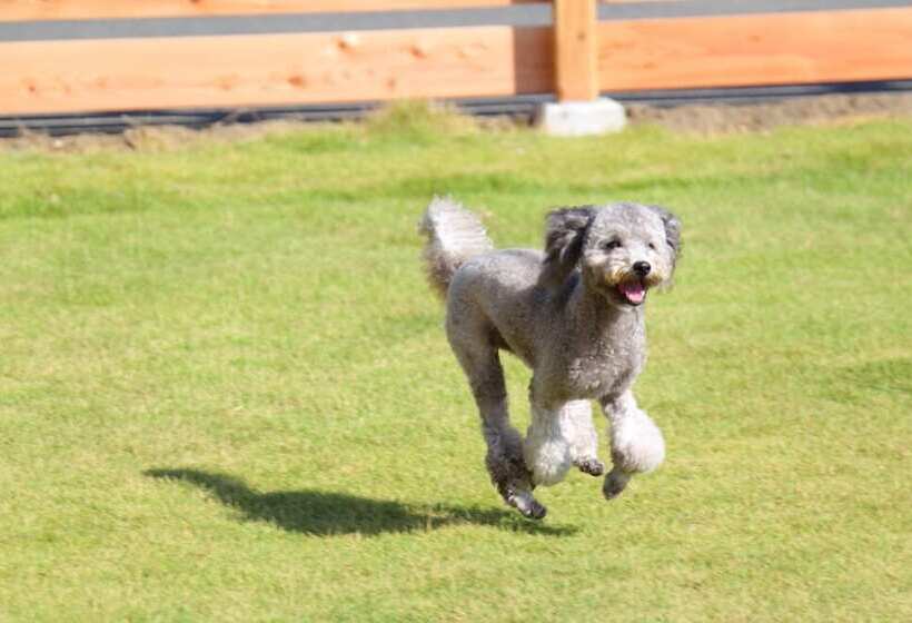 בית מלון כפרי Wanraku