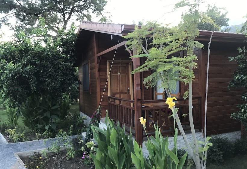 مبيت وإفطار Happy