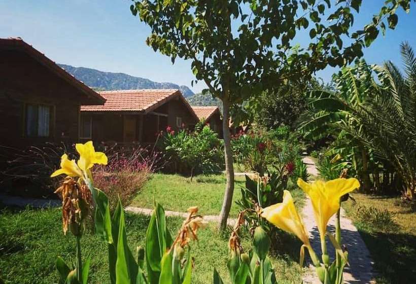 مبيت وإفطار Happy