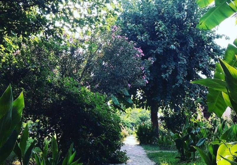 مبيت وإفطار Happy